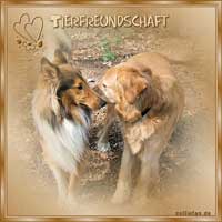 Tierfreundschaft